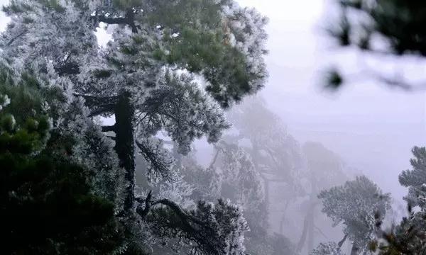 张子枫吊带裙叠穿尽显性感，你感觉她的时尚感如何？-分享，讨论和交流的红迪网社区