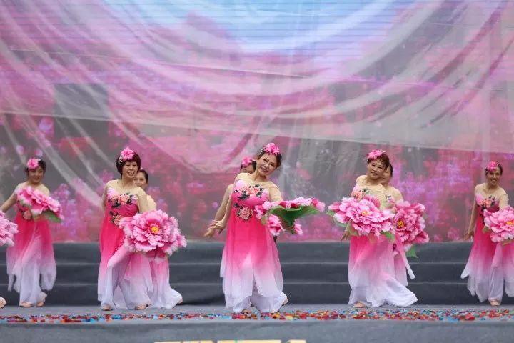 肯尼亚马赛马拉遇大雨天气 狮子抖动鬃毛非常惬意
